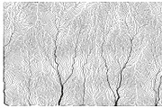 Growth - 50 Backgrounds, a Texture Graphic by GarryKillian (Thumbnail 7 of 51)