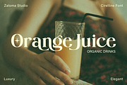 Cirelline, a Serif Font by Zaloma Studio (Thumbnail 9 of 19)