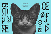 CS Renate – Trippy Font, a Sans Serif Font by Craft Supply Co. (Thumbnail 6 of 8)
