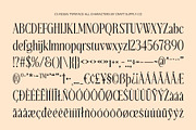 CS Reign – Elegant Font, a Serif Font by Craft Supply Co. (Thumbnail 8 of 8)