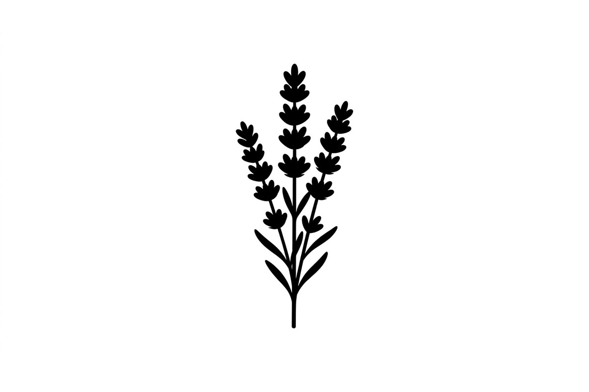 Lavender Botanical Silhouette Set, an Object Graphic by Designs_River (Photo 3 of 3)