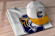 Letter C - Tiger Head, a Branding & Logo Template by herulogo (Thumbnail 1 of 3)