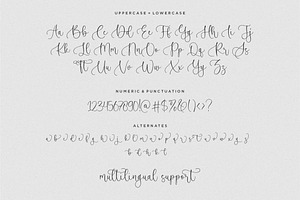 Blueberry Winter - Handwritten Font