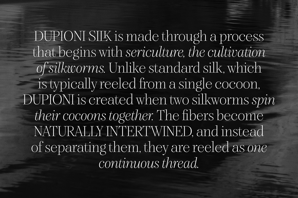 Dupioni Thin - Ligature Serif, a Serif Font by Silktype (Photo 10 of 20)