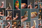 Miniature animals - 87 images, an Animal Photo by Handmadefont (Thumbnail 6 of 10)