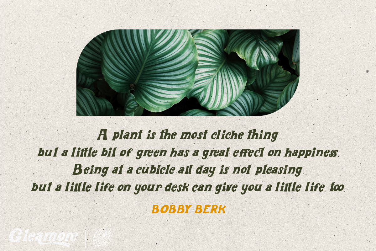Gleamore Display Font, a Sans Serif Font by Glyphstyle (Photo 10 of 11)