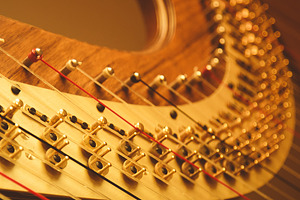 Harp - Close Up