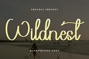 Wildnest, a Handwritten Font by InermediaSTUDIO (Thumbnail 1 of 8)