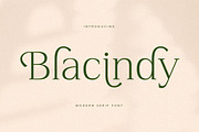 Blacindy Modern Serif Font, a Serif Font by Letterena Studios (Thumbnail 1 of 15)