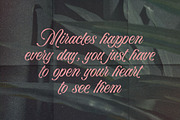 Bella Elegante - Calligraphy Font, a Script Font by Subectype Studio (Thumbnail 2 of 10)