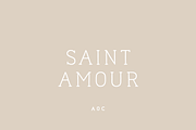 Naive Line Font Collection, a Serif Font by S&C Type (Thumbnail 6 of 10)