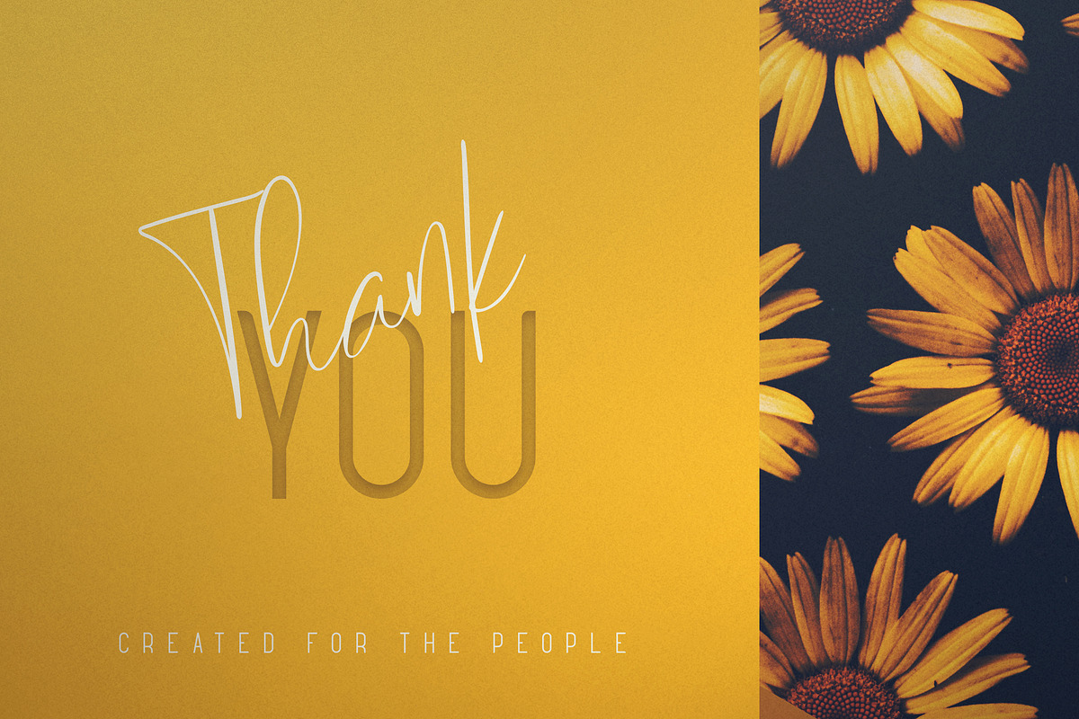 Sunflower - Font Duo, a Script Font by VP Fonts (Photo 12 of 12)
