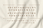 Sellendra – Elegant Display Serif, a Serif Font by BrandSemut (Thumbnail 8 of 10)