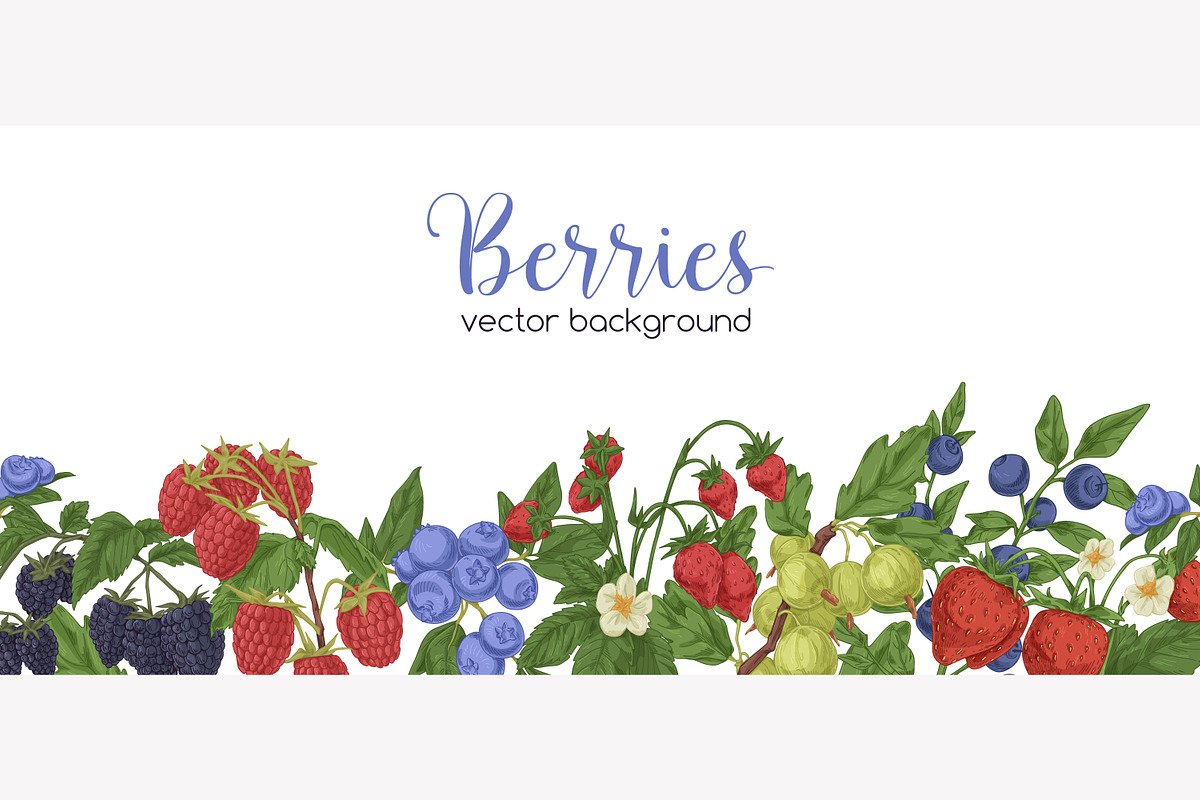 Hand drawn berries set + background, a Food Illustration by Good Studio (Photo 3 of 5)