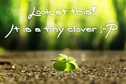 Nizary Natural Font, a Script Font by xresch (Thumbnail 6 of 12)