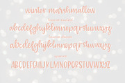 winter marshmallow + winter chai, a Script Font by OnTheSpotStudio (Thumbnail 5 of 6)