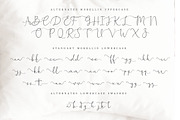 Morellin Elegant Script, a Script Font by Say Studio (Thumbnail 14 of 16)
