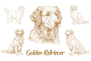 Golden Retriever Illustration Bundle, an Animal Illustration by MkStudio