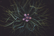 Moody Lightroom Presets - Landscapes, an Action Add-On by PhotoMarket (Thumbnail 23 of 35)
