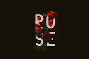 Charles - An Elegant Sans Serif Font, a Sans Serif Font by Graphiqa Studio (Thumbnail 2 of 10)