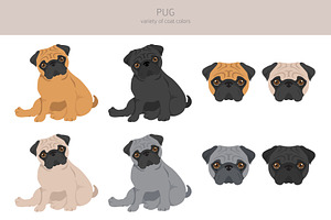 Pug Clipart