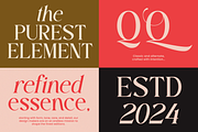 Beauty Luxury Serif Font - Anolera, a Serif Font by Font Liner (Thumbnail 4 of 10)