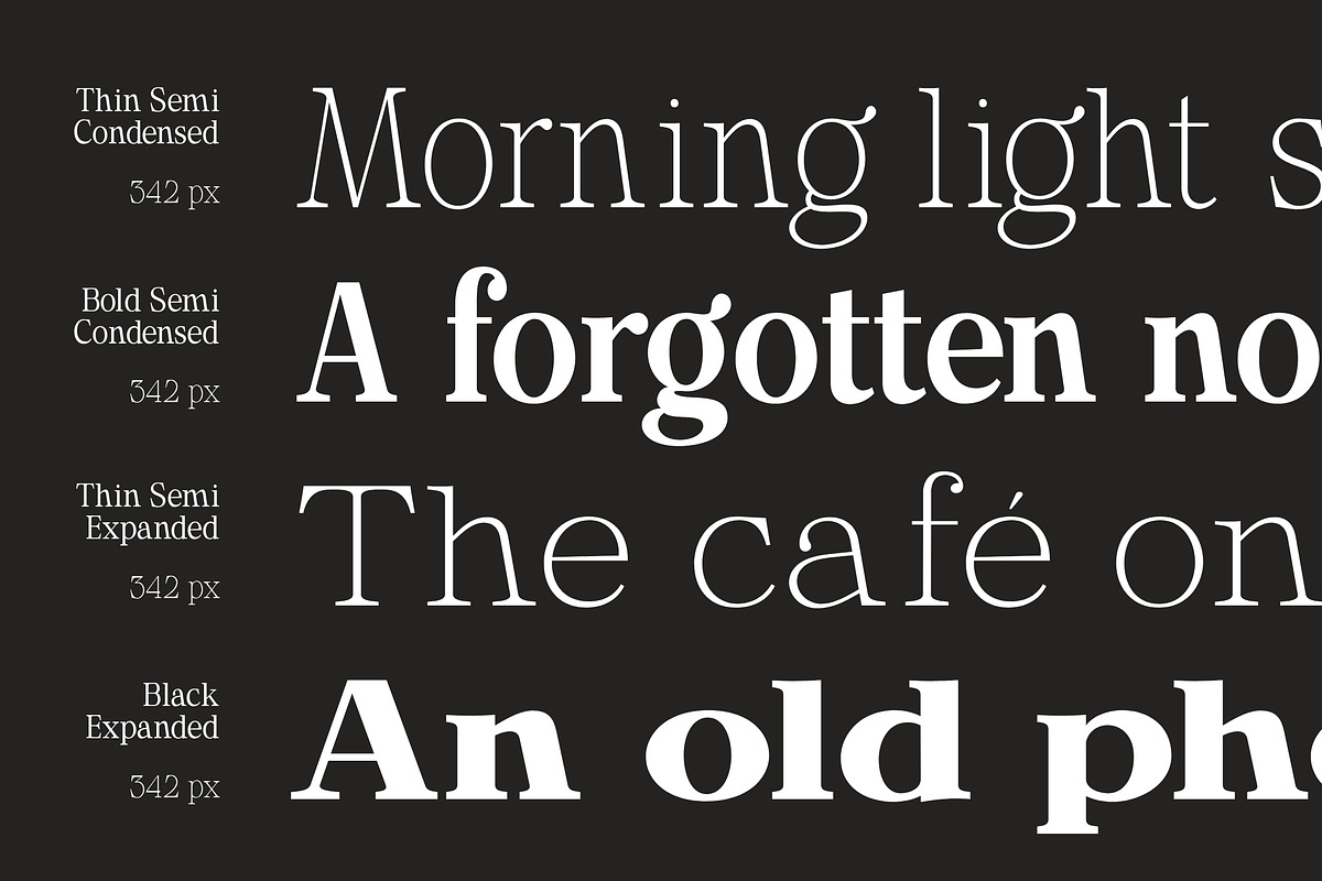 Calgine Serif, a Serif Font by MasaType (Photo 3 of 12)