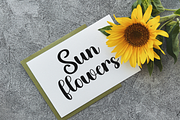 Delight, a Handwritten Font by FreshTypeINK (Thumbnail 7 of 8)