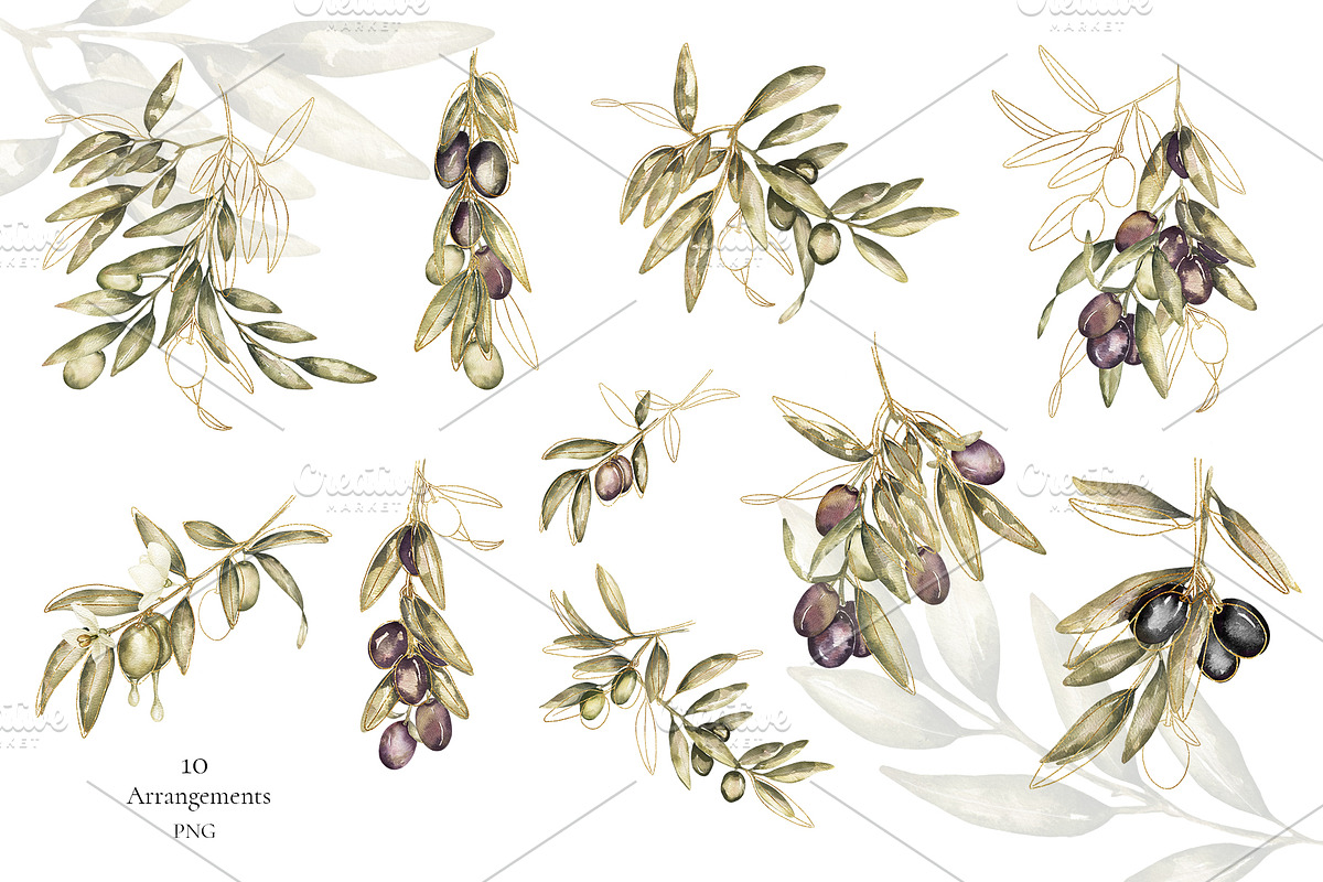 Watercolor Olives collection, a Graphic by MayaNavits (Photo 4 of 25)
