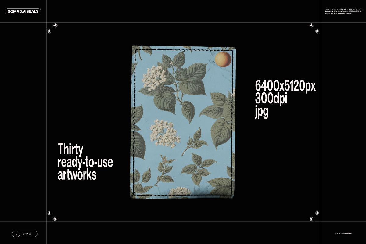 Plants & Flowers Illustrations, a Background Graphic by Nomad Visuals (Photo 14 of 14)