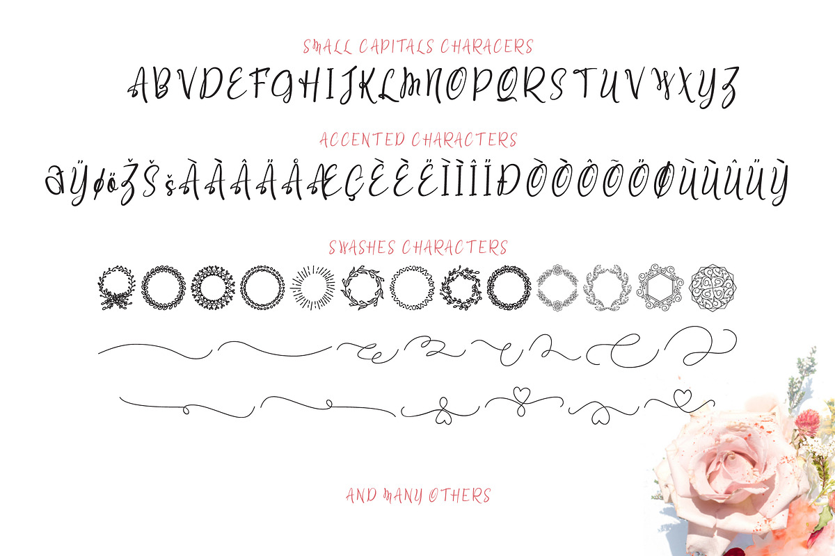 Raelynn Regular | script layer preview 3