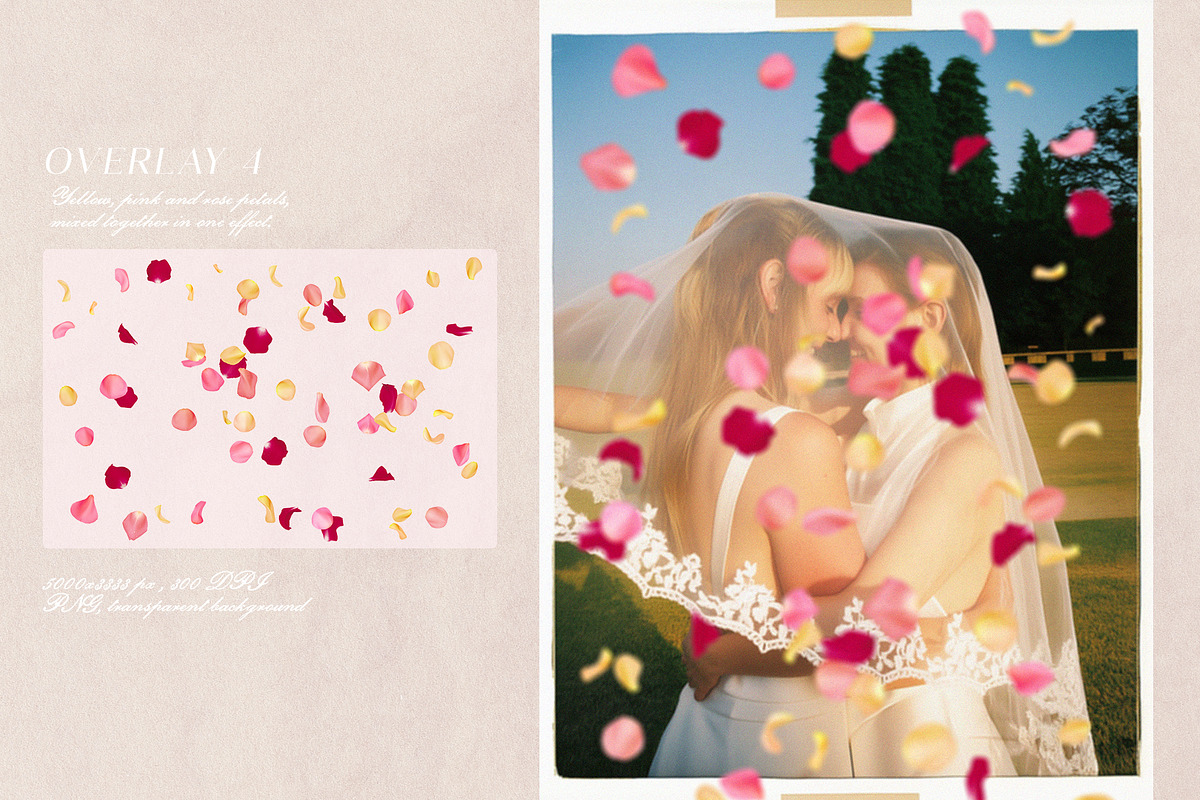 Multicolored Rose Petals Overlays, a Texture Graphic by Kaleriia (Photo 5 of 16)