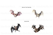 Watercolor Bat Clipart, Cute Bat PNG, an Animal Illustration by BrushstrokeArtGB (Thumbnail 4 of 9)