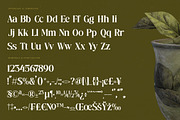 Mistical Spring - Modern Serif, a Serif Font by timelesstype.co (Thumbnail 18 of 20)