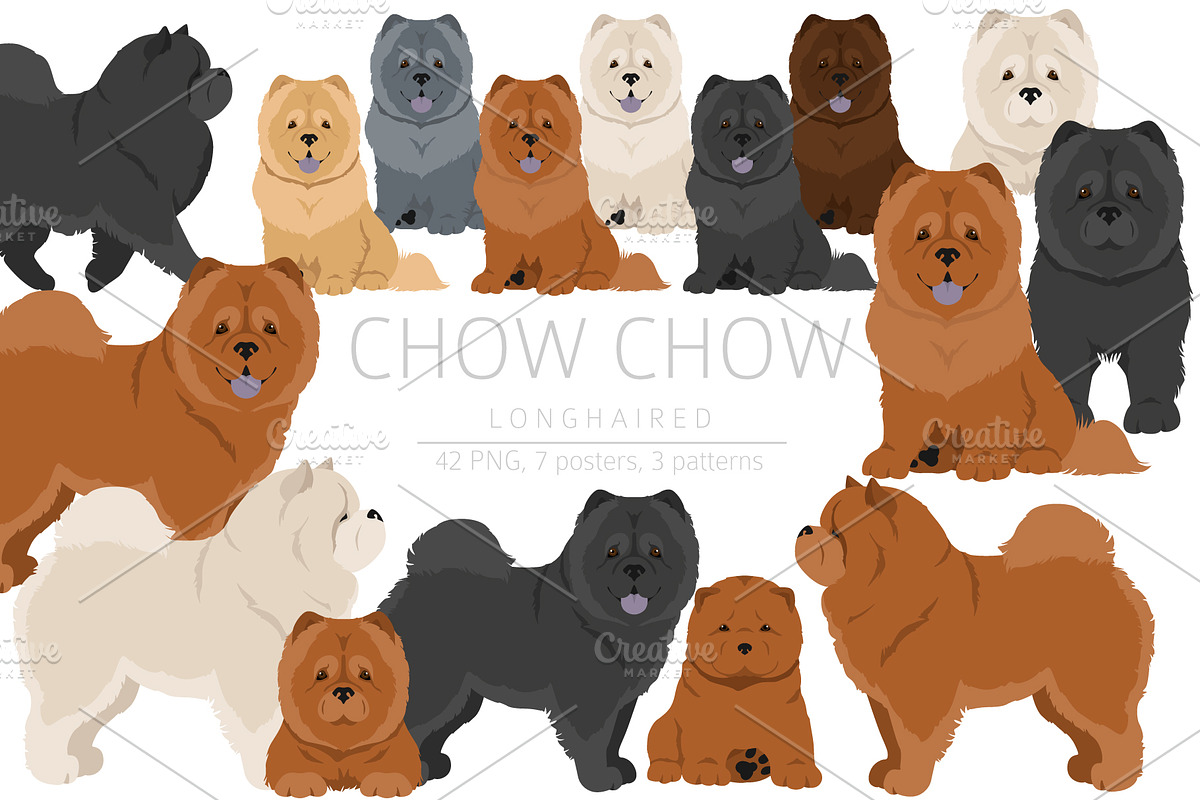 Chow chow (longhaired) clipart, an Animal Illustration by pet design shop (Photo 1 of 9)