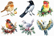Christmas Birds Sublimation Clipart, an Illustration by Craft Nest (Thumbnail 2 of 6)