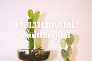 Mono Grass | Joyful Display, a Serif Font by ClevUs (Thumbnail 10 of 11)