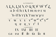 Rayola Serif Font, a Serif Font by Cut Story (Thumbnail 9 of 10)