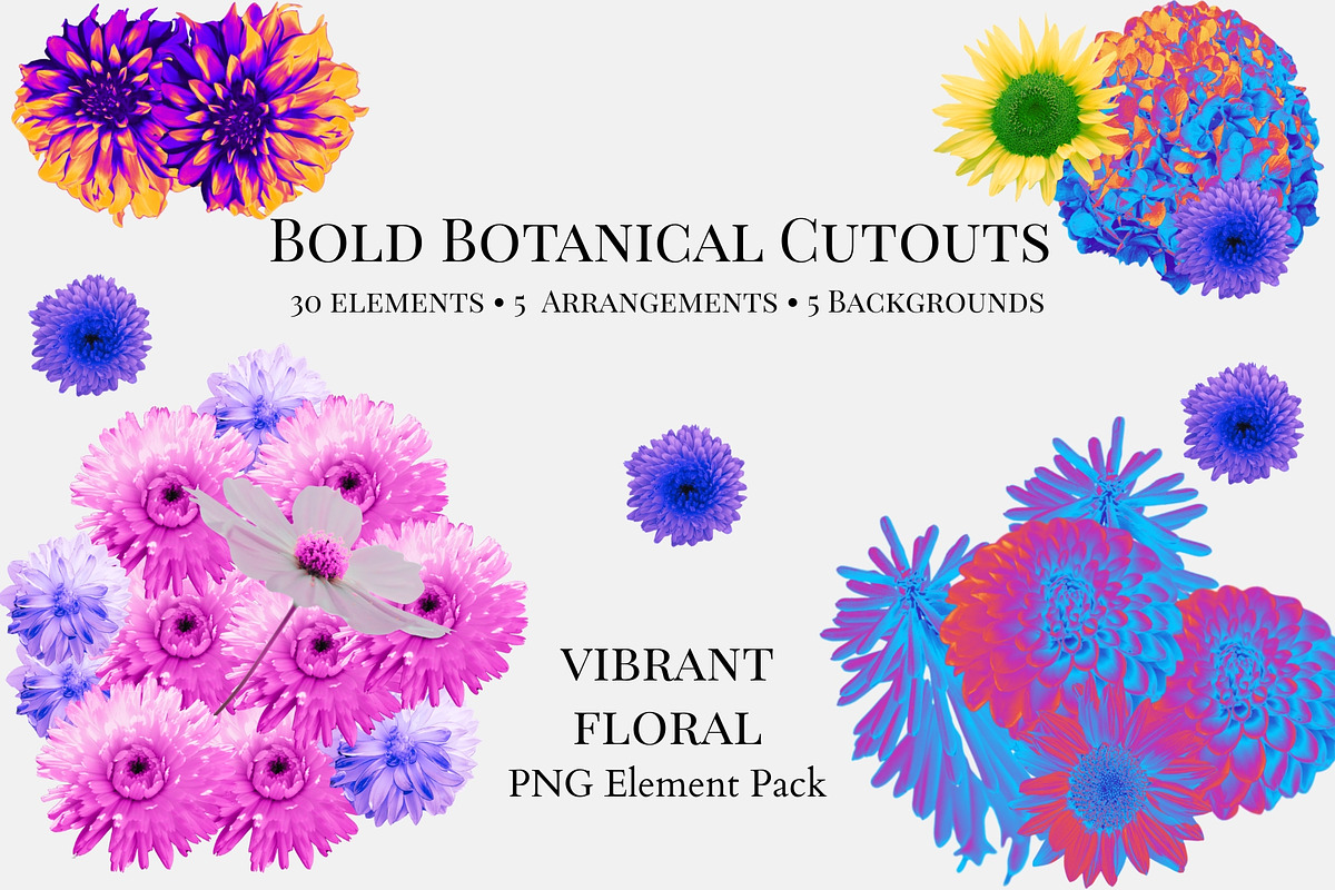 Vibrant Floral PNG Elements Pack, an Object Graphic by CreatingYOU.®, Lori Rice (Photo 1 of 7)