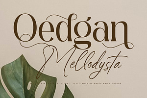 Qedgan Mellodysta A Modern Font Duo