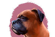 Dogs Pet Portraits Art Print Set 23, an Animal Illustration by Dneprstock (Thumbnail 2 of 5)