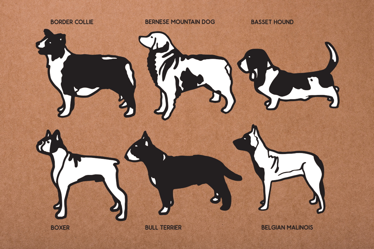 Vintage Dog Doodles Mega Bundle, an Illustration by duka (Photo 4 of 19)