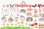 Hedgehog watercolor clipart, an Illustration by Art & Things (Thumbnail 6 of 7)