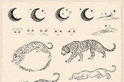 Wild Tiger & Leaves Botanical Vector, an Object Illustration by Christine Krahl (Thumbnail 16 of 17)