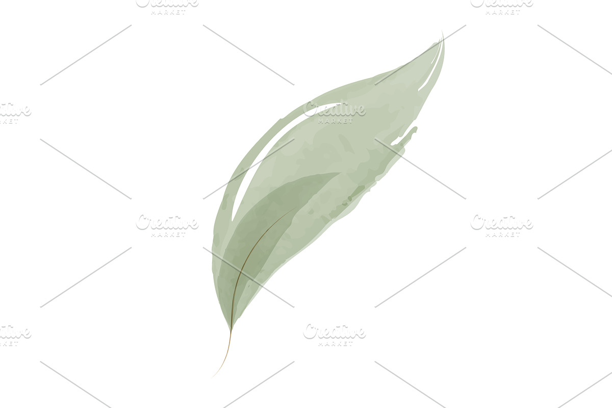 Soft green watercolor leaf painted, an Object Illustration by okskukuruza