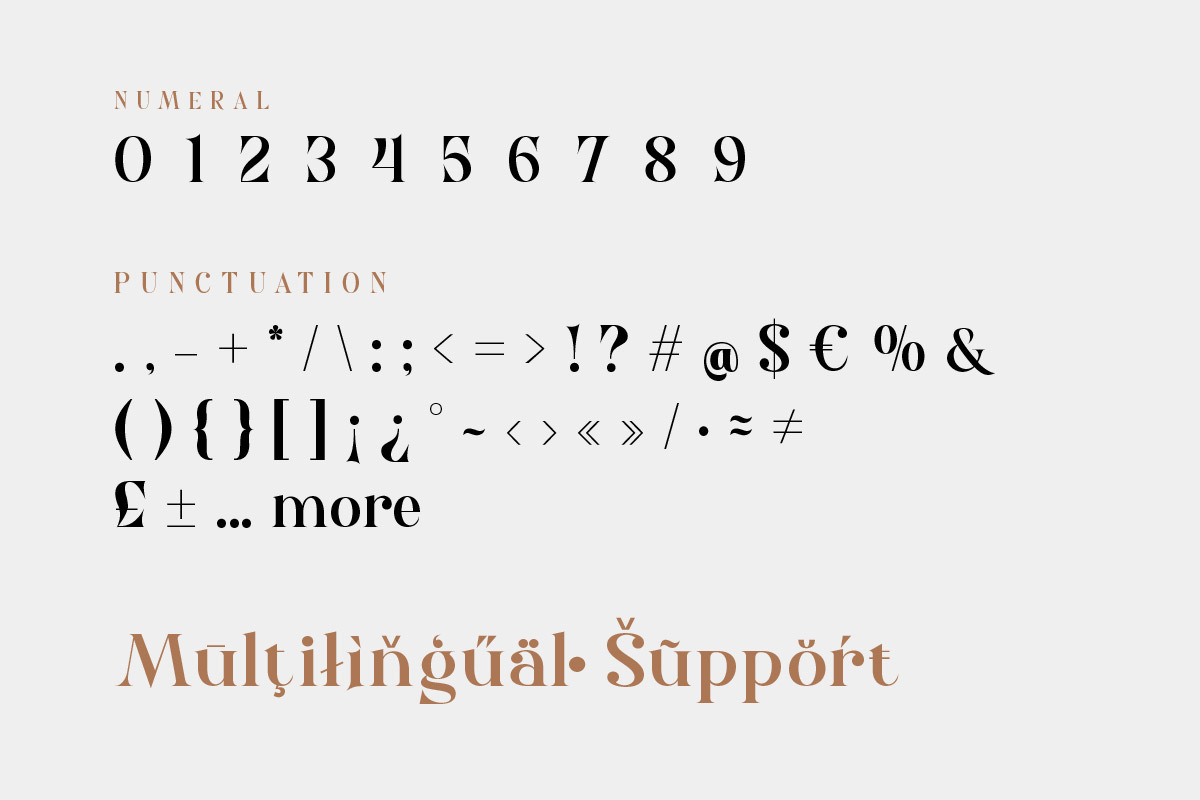 Nolaten - Serif Display Font, a Serif Font by twinstd (Photo 9 of 10)