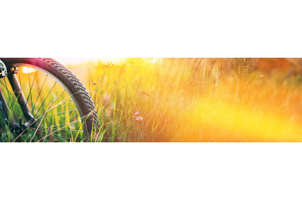 Bicycle Wheel In The Summer Green, a Transportation Photo by Our Amazing World