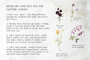 Imperfect Organic Serif Font, a Serif Font by whiteheartdesign (Thumbnail 6 of 12)