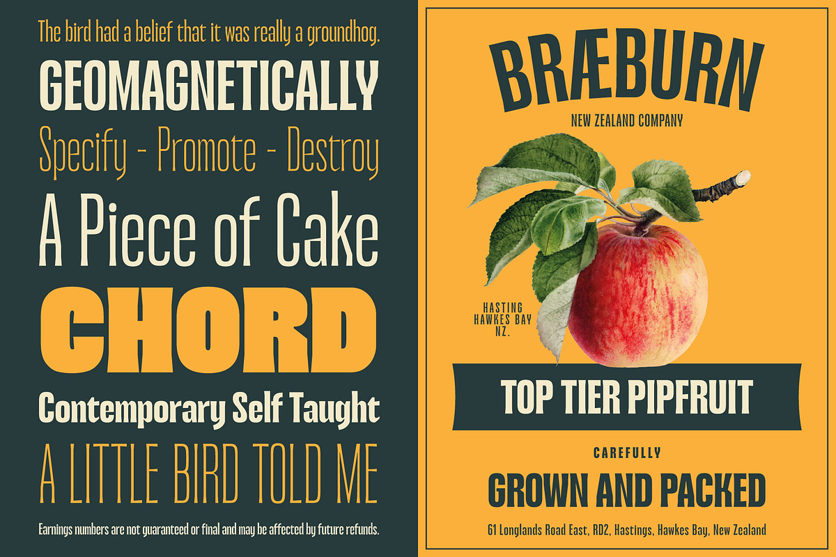 Jacoma, a Serif Font by Adam Fathony (Photo 4 of 17)