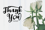 Certain Script, a Script Font by Nowlystudios (Thumbnail 6 of 6)